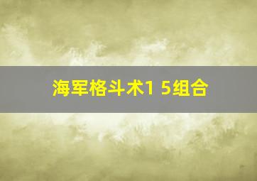 海军格斗术1 5组合